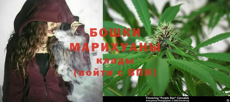 Бошки марихуана SATIVA & INDICA  как найти   Полярный 